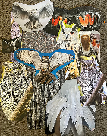 3MB OwlRothbart-2