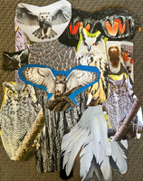 MB OwlRothbart