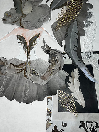 SWans4