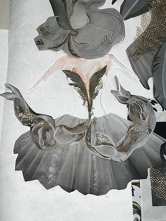 Swans5