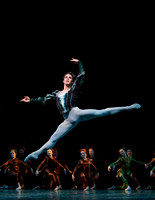 MSND2011 0271