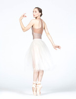 PointeS 0529