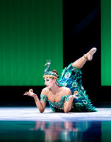 NutcrackerDR 0948