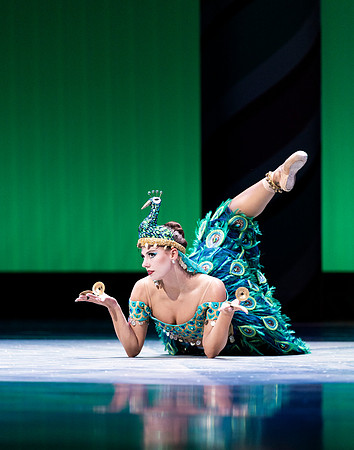 NutcrackerDR 0948