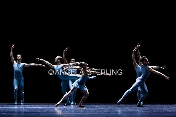 Forsythe2019B 0296