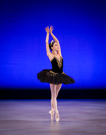 BSVB 0699