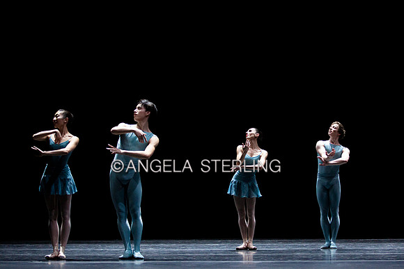 Forsythe2019B 0463