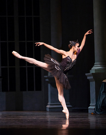 SwanLake2018 1345