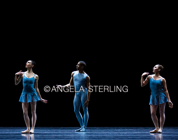Forsythe2019B 0178