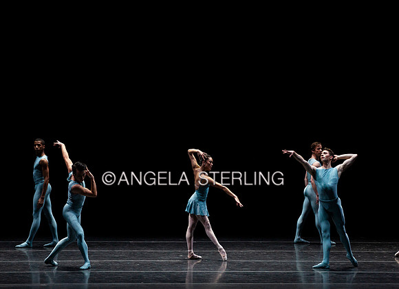 Forsythe2019C 0679