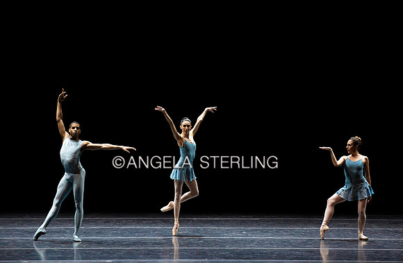 Forsythe2019C 0637
