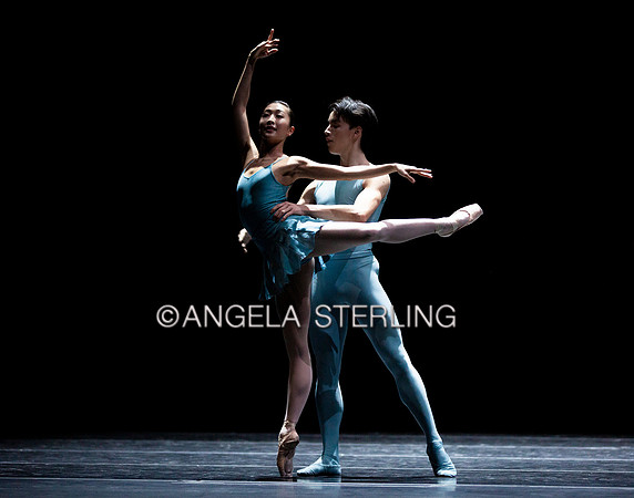 Forsythe2019B 0472